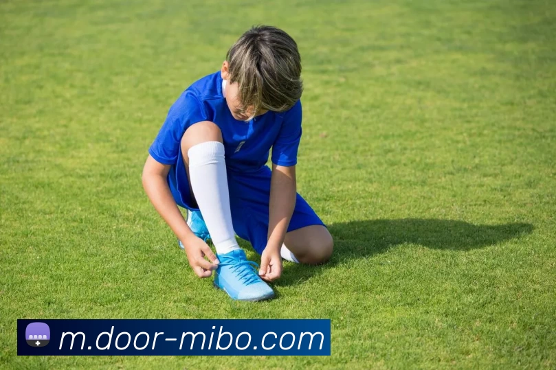 米博体育平台生态图