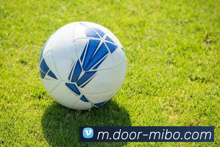 米博体育APP 封面图